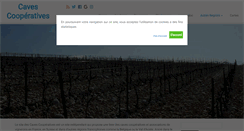 Desktop Screenshot of cavescooperatives.com